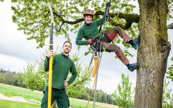 Thomas Schweiger Gartenbau - Baumpflege im Team Thomas Schweiger Gartenbau - Baumpflege im Team