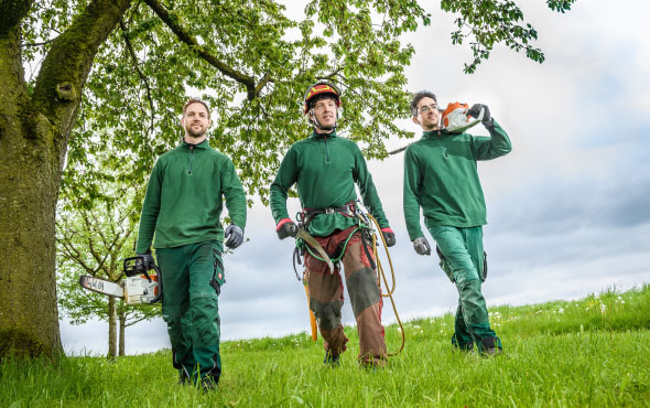 Thomas Schweiger Gartenbau - Baumpflege im Team Thomas Schweiger Gartenbau - Baumpflege im Team