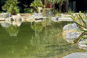 ThomasSchweiger_Schwimmteiche_Galerie_03