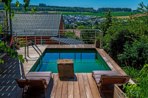 ThomasSchweiger_Naturpools_Galerie_03