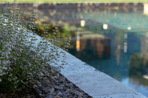 ThomasSchweiger_Naturpools_Galerie_06